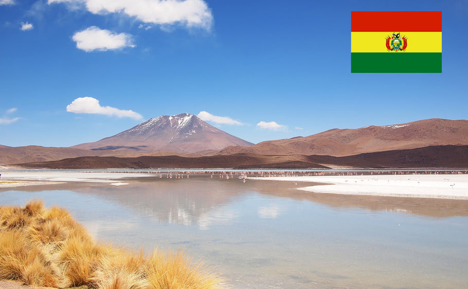 Document de conducteur en Bolivie