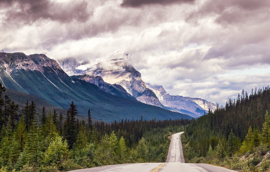 Explorer les parcs nationaux à l'étranger : Guide du conducteur